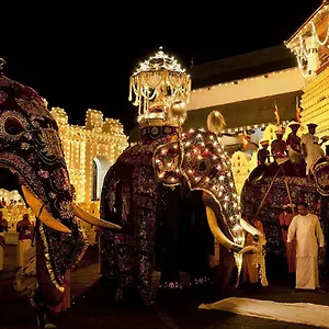 Settle Tourist Kandy